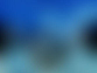 Análisis del caso Puga-COPACO: ¿Agilidad procesal o privilegio? La visión a favor de la intervención de Altor