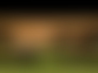 O que o desfile da Louis Vuitton revela sobre o papel central da casa no luxo e na estratégia de marca