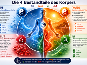 #2 Yin, Yang, Qi und Blut – die vier Körperbestandteile der TCM einfach erklärt