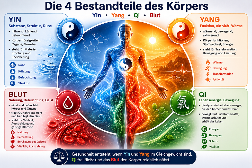 #2 Yin, Yang, Qi und Blut – die vier Körperbestandteile der TCM einfach erklärt