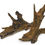 Thumbnail: Malaysian Driftwood