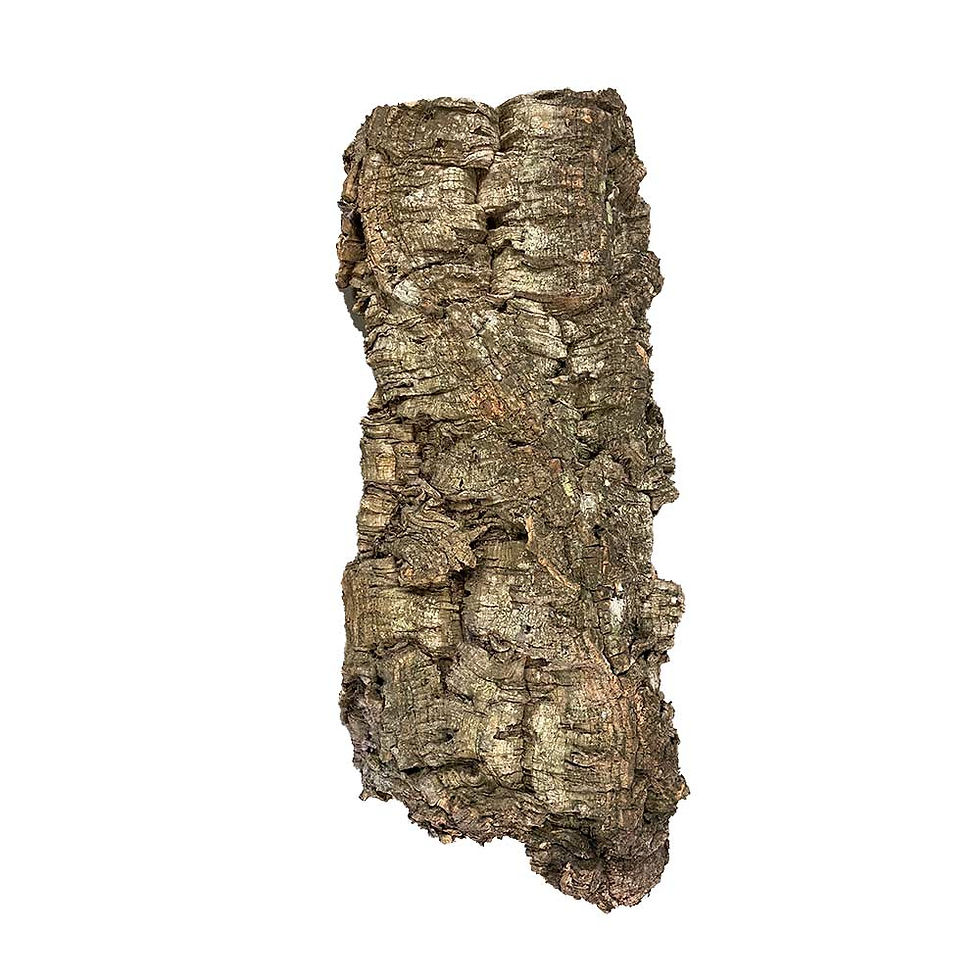 Cork Bark for terrarium (1 sq ft)