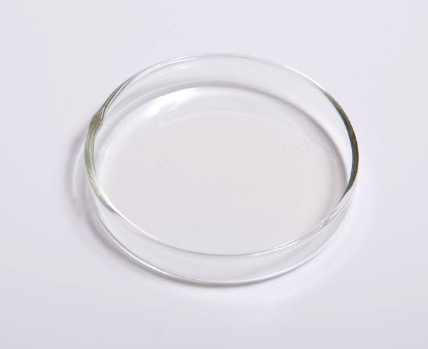 Shrimp Feeding Dish