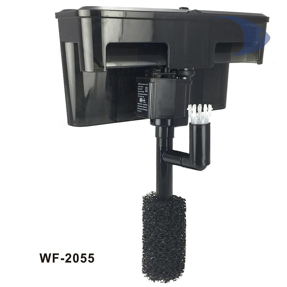 Thumbnail: Boyu WF 2055