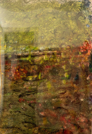 DSC02524.jpeg