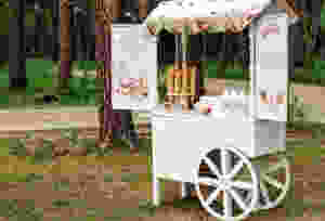 outdoor wedding ice cream bar