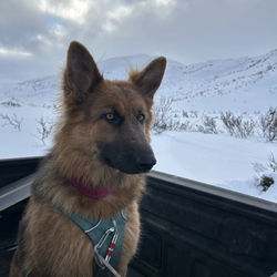 588598343_839326152220948_6240112213435430295_n