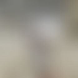 Testimonio de un Turista con su Mascota