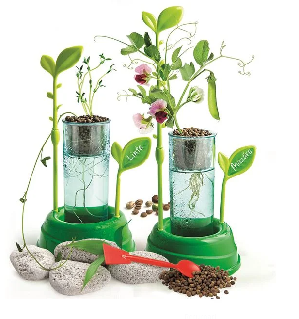 Gradina Mea - Cultiva Plante Fara Sol - Clementoni
