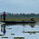 תמונה ממוזערת: A Fisherman in Thale Noi Sweet Water Lake