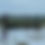Thumbnail: A Fisherman in Thale Noi Sweet Water Lake