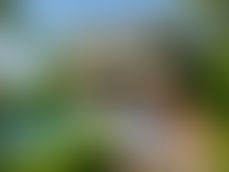 🏡 “Can I Own Property in Thailand?” — A No-BS Guide for Foreigners