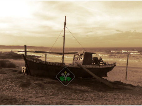 PUNTA DEL DIABLO