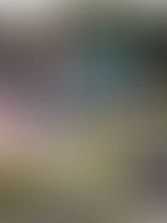 Monet's Garden Wedding in Summer