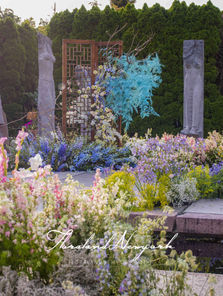 Monet's Garden Wedding in Summer