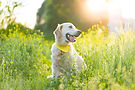 AdobeStock_444773067.jpeg