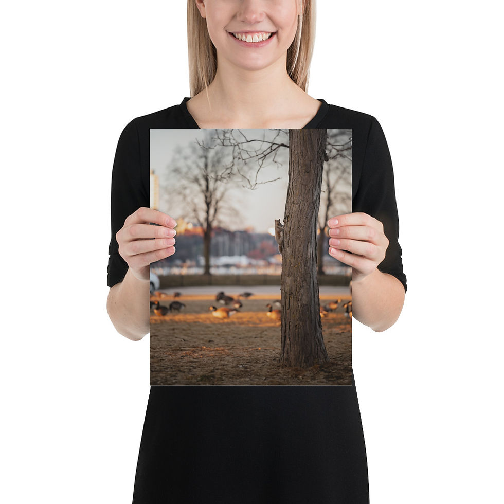 Thumbnail: Squirrel in Tree Print