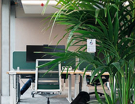 📍 Microsoft_edited.png