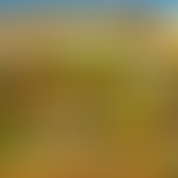 The PAY WHAT YOU CAN FARMER’S MARKET (PWYC) is moving into it’s 4th summer at Unity in Edinboro.