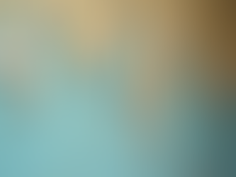 漏水修复服务：防止未来水害