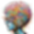 human-brain-detailed-structure