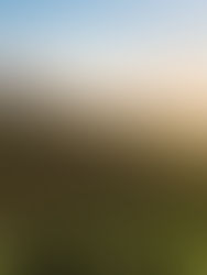 Understanding Organic and Biodynamic Farming With a Fun Twist