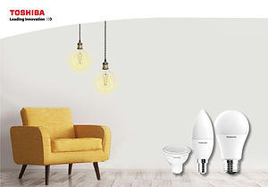 visita_toshiba_lighting.jpeg