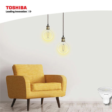 visita_toshiba_lighting.jpeg