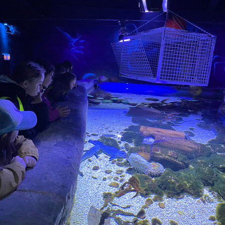 Zeeklas: dag 1 deel 3