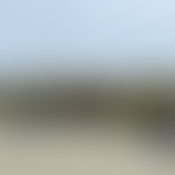 Zeeklas: The End🌊🐠🪸🐬🐟🐙⚓️⛴️🦀🐡🐳🐋🐚