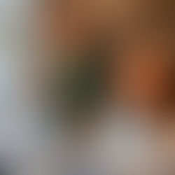 Zeeklas: dag 1 deel 2