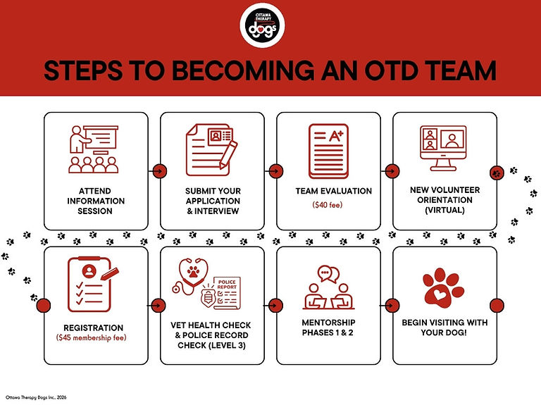 Steps to becoming an OTD team (April 2026) .jpg