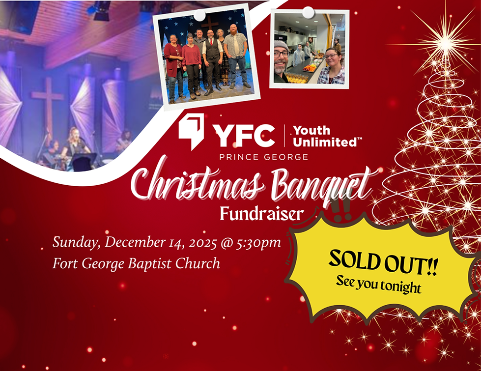 Copy of Red and White Modern Christmas Light Installation Flyer.png