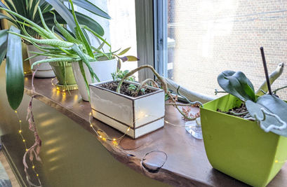 Eco-Construction Projects Inc. remodeling renovation sustainable eco montreal mtl repair r