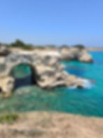 pexels-hajni-133428291-27668259.jpg