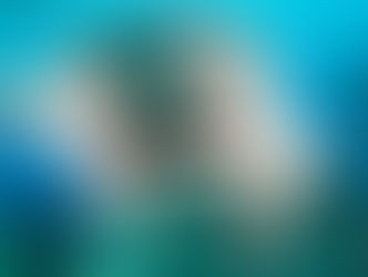 Don't Let the FISH Bite You!