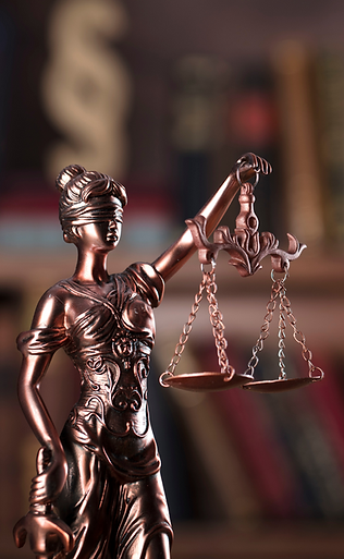lawyer 2.png