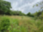thumbnail_IMG_1856