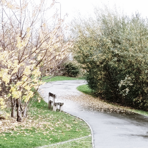 Prelude: The Bench Dairy
