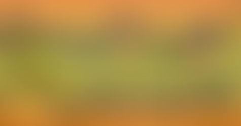 Welcome to Baraw Amanj