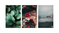 Brand application on Social Media