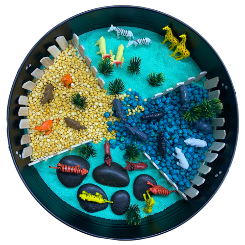 ZOO SENSORY BIN | brightfuturesmildura