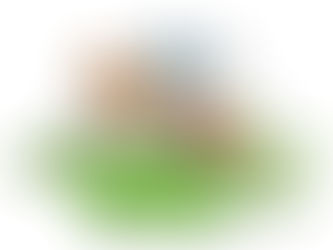 FAMILY PICNIC / 31 DE AGOSTO 2019