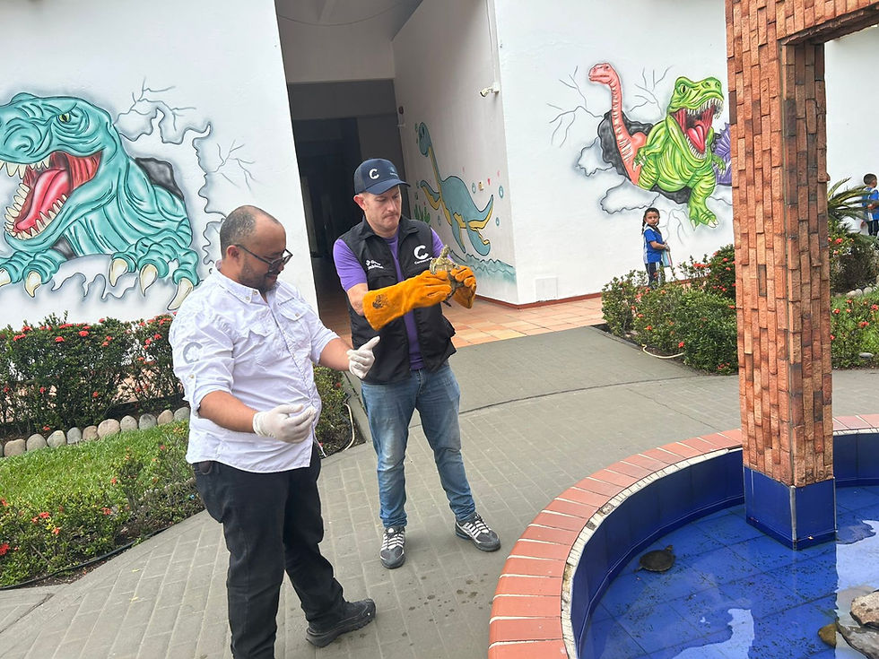 #AnimalesNoDebenSerEnjaulados 