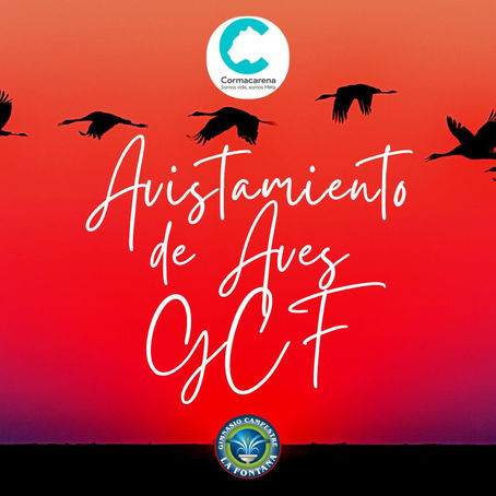 GCF EN AVISTAMIENTO DE AVES
