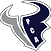 New Bull Logo 2_edited.png