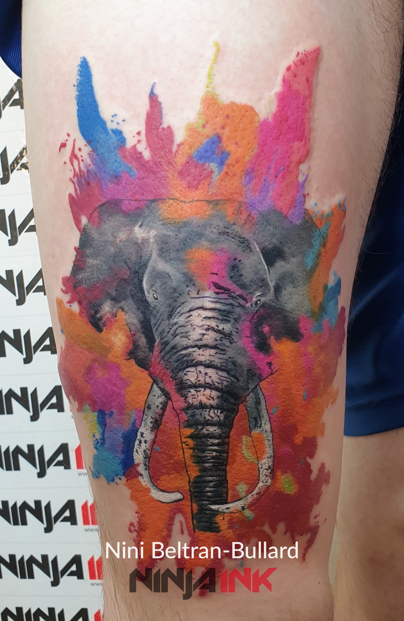 Watercolor Elephant