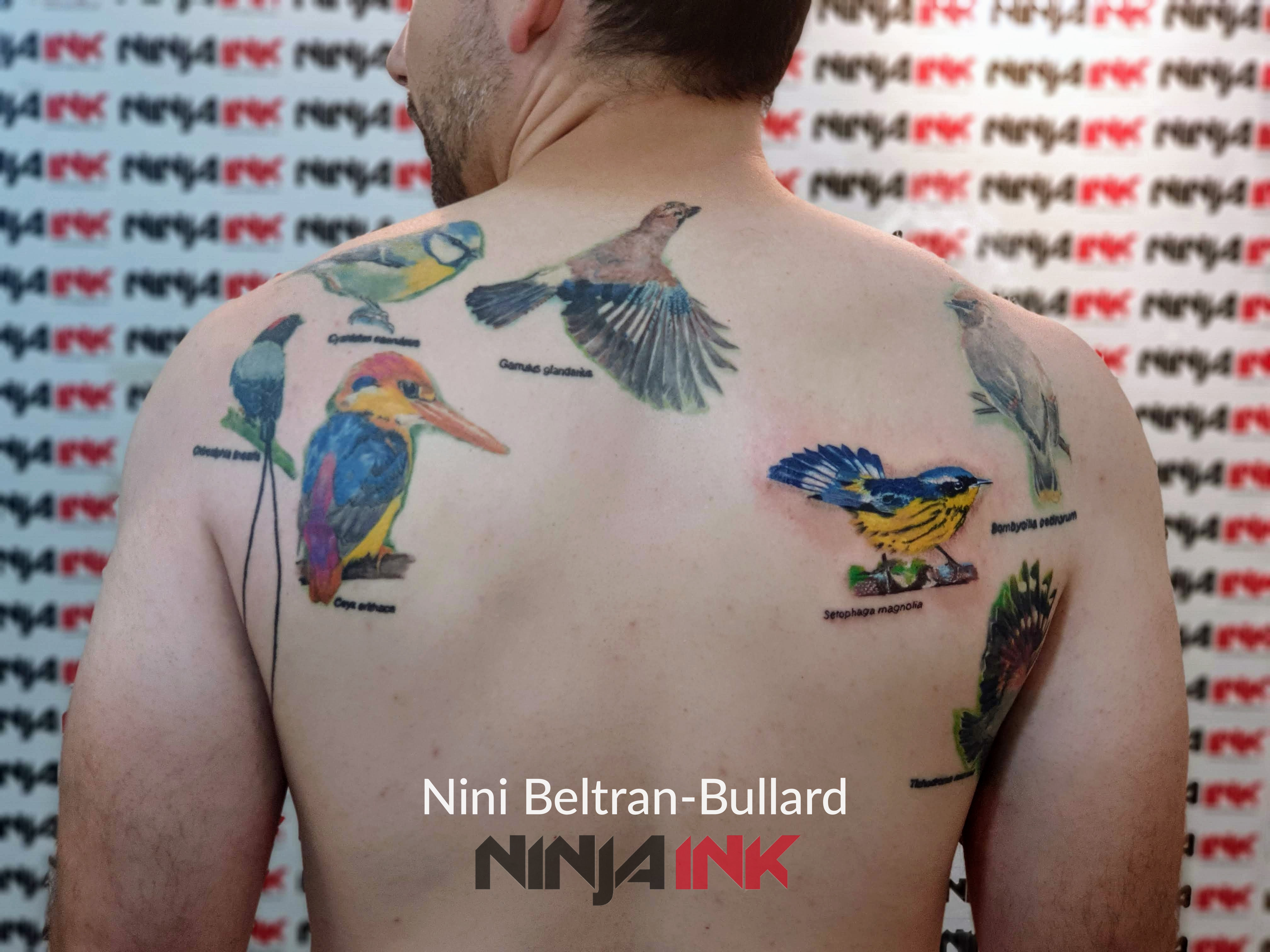 Birds of the same feather
