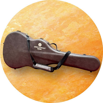 CUSTODIA SEISCUERDAS.jpeg