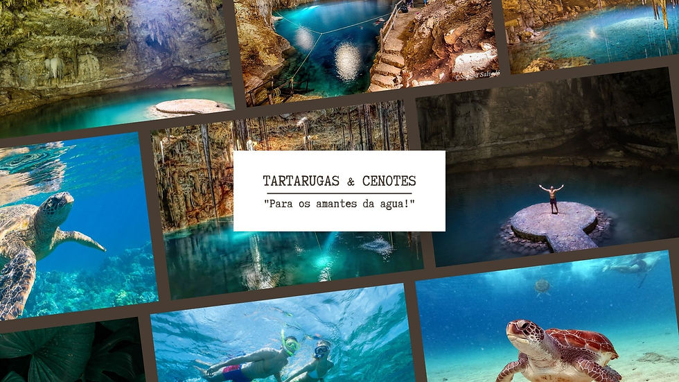 Exc 8 - Tartarugas + Cenotes